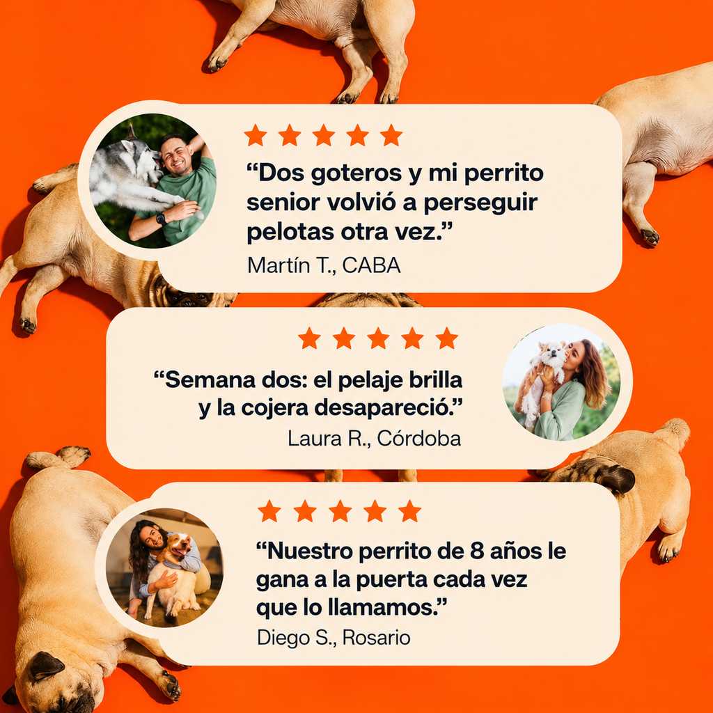 MásTiempo™ - PawPrint Lab Argentina
