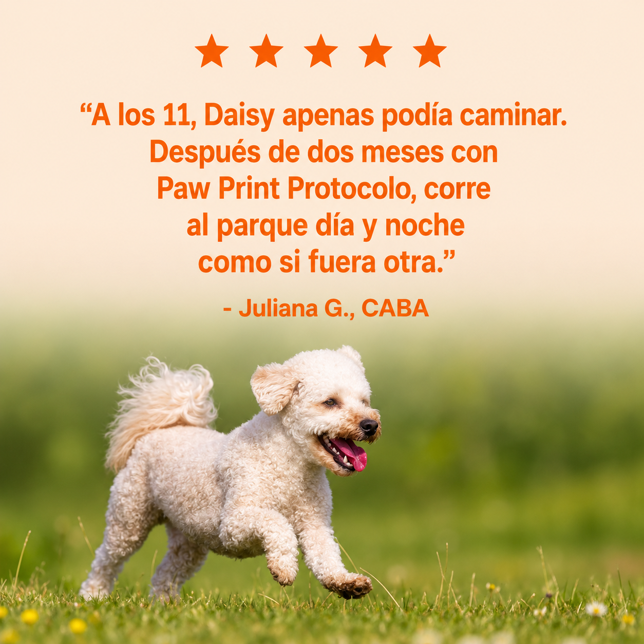 MásTiempo™ - PawPrint Lab Argentina