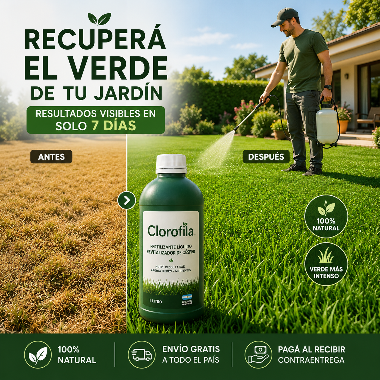 Clorofila™ — Basta de Pasto Amarillo y sin Vida: Devolvele el Verde en Días