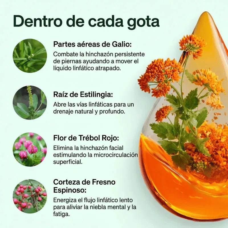 NATURES SUNRISE™ | Drena Naturalmente la Hinchazón del Rostro, Abdomen y Piernas